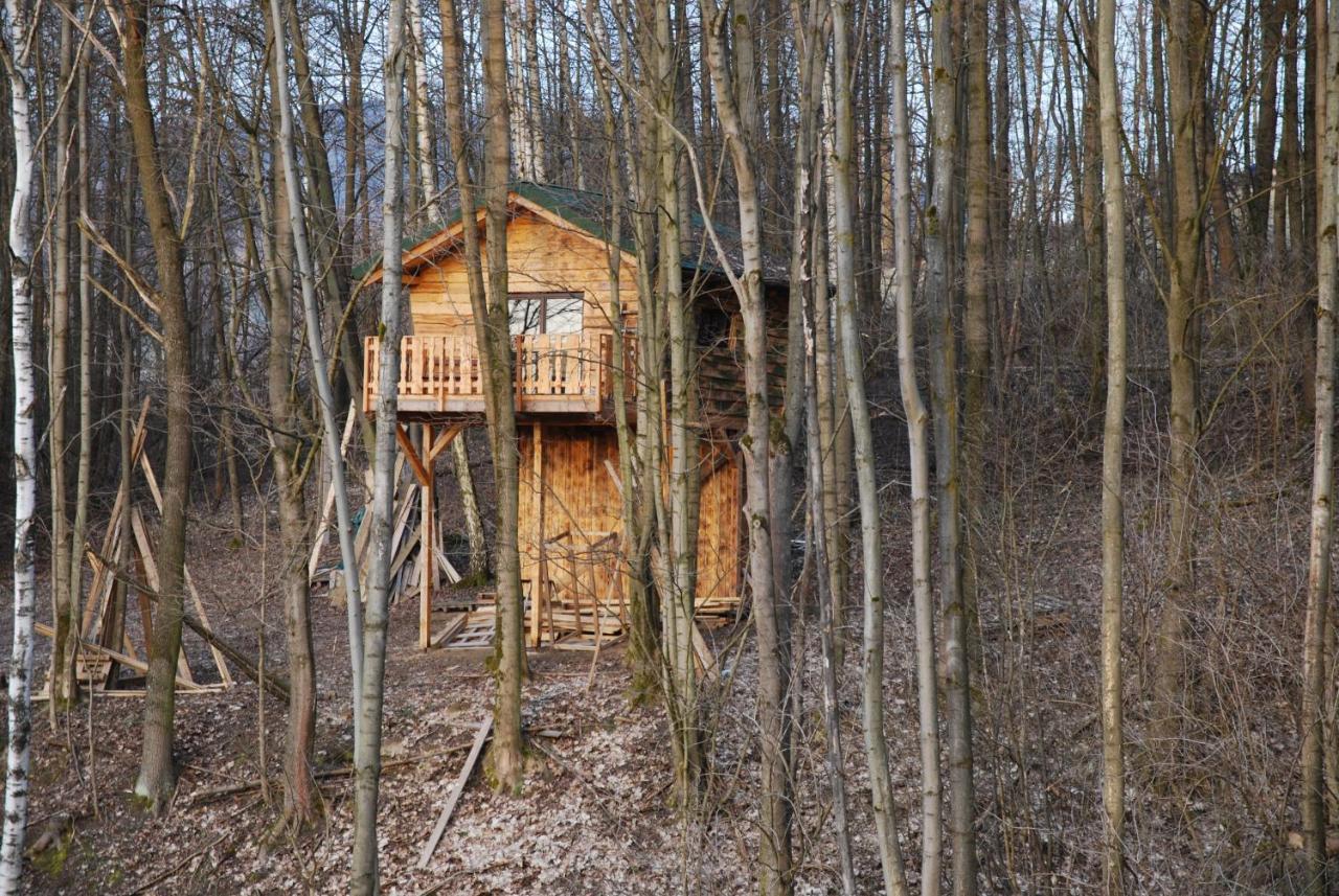Treehouse Velké Losiny Exterior foto